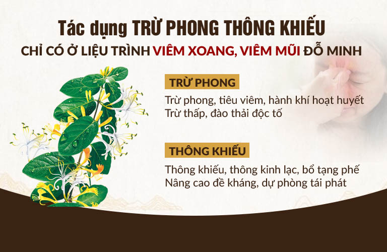 Tác dụng Trừ phong - Thông khiếu của bài thuốc nam Đỗ Minh Đường